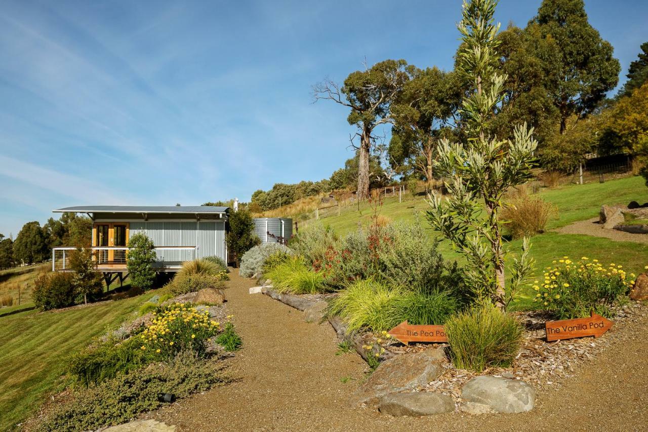 Hobart Hideaway Pods Bed & Breakfast Kingston Exterior photo